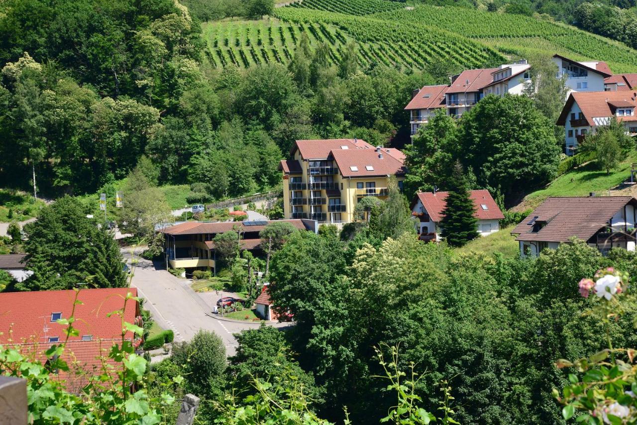 Residence Am Weinberg / Travellers Hotelbetriebs Gmbh Засбахвальден Экстерьер фото